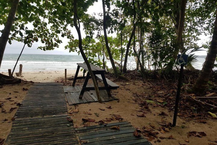 Bench at Cahuita National Park