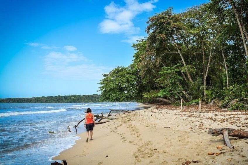 Hiking at Cahuita
