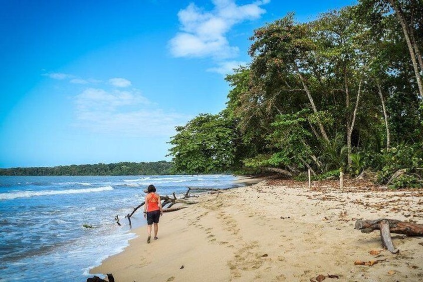 Hiking at Cahuita