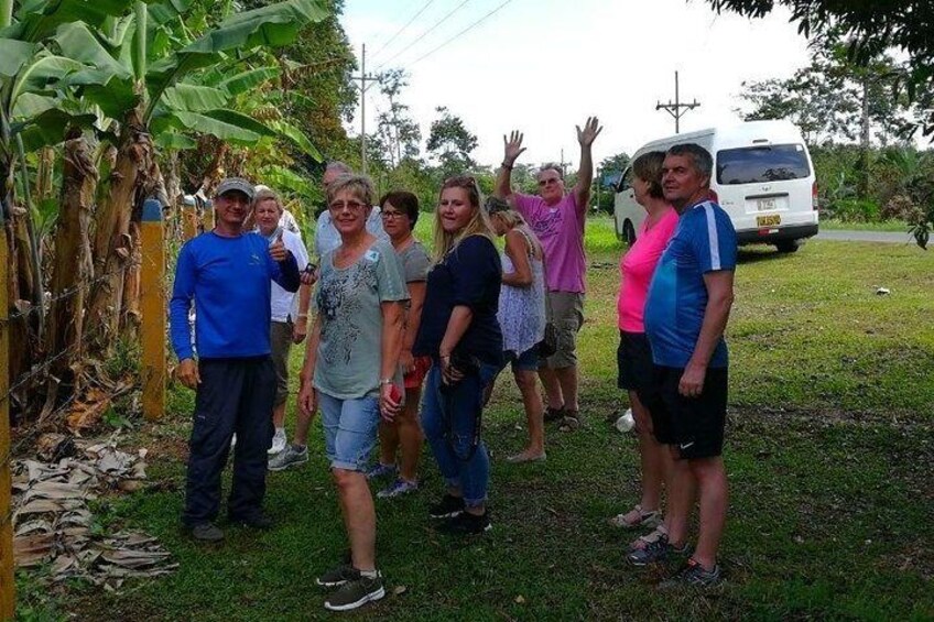 Beside the banana plantation