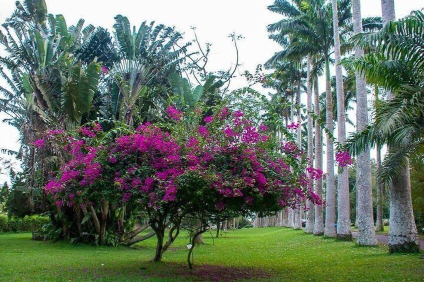 Aburi Botanical Gardens and Shai Hills Tour