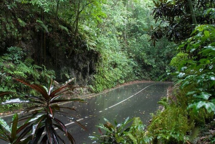 Private Sightseeing Tour in & Around Ocho Rios