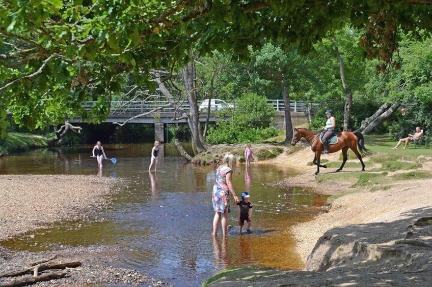 Families playing in the river