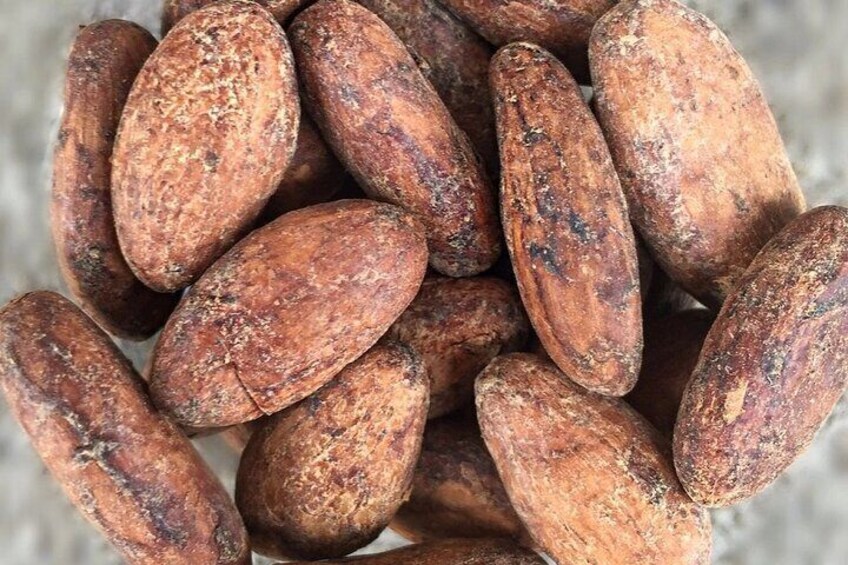 From Cacao to Chocolate: Private Tour in Manta