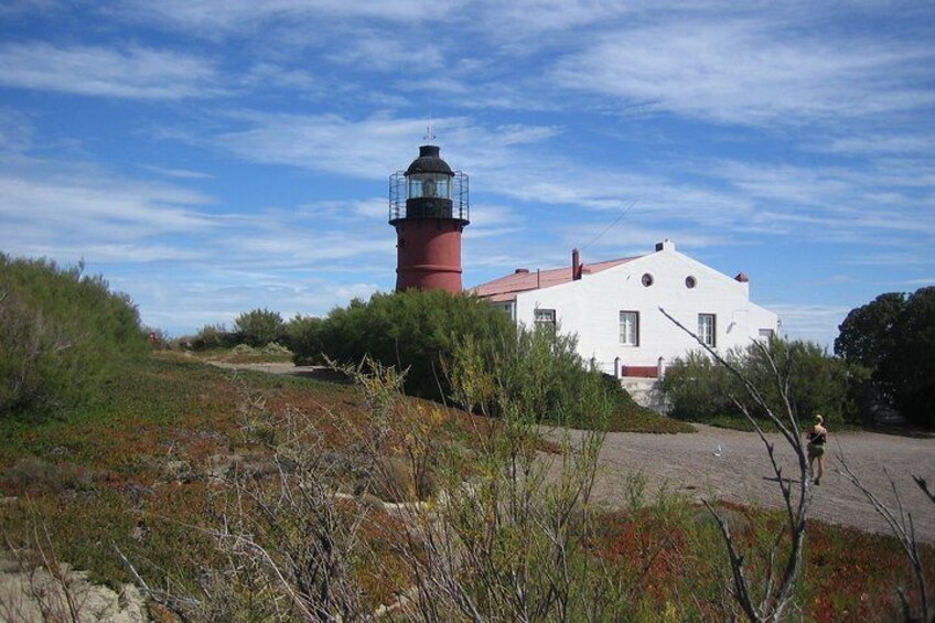 Shore Excursion: Private Day Trip to Peninsula Valdes from Puerto Madryn