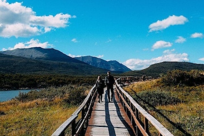 Ushuaia Shore Excursion: Private Tour of Tierra del Fuego National Park