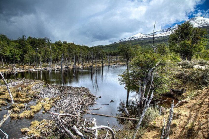 Ushuaia Shore Excursion: Private Tour of Tierra del Fuego National Park