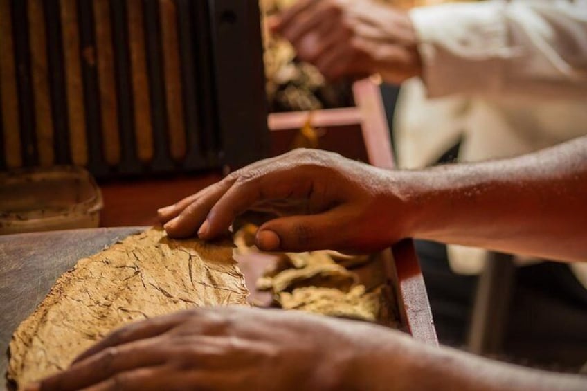 You can even learn how to make your own cigar.