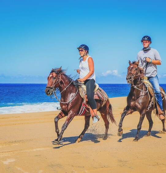 Los Cabos Desert & Beach Horseback Ride