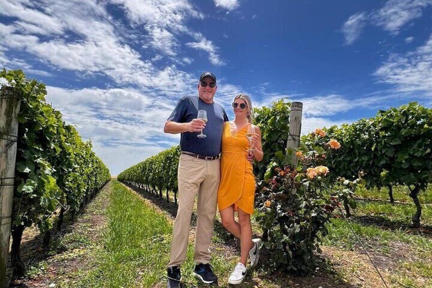 Indulge in a Scenic Wine Tour to Carmelo 