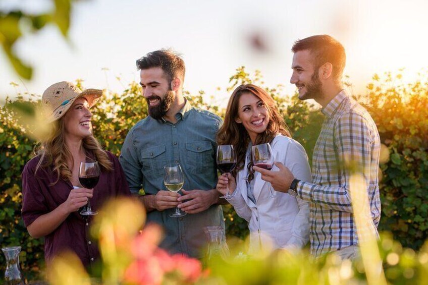 Indulge in a Scenic Wine Tour to Carmelo