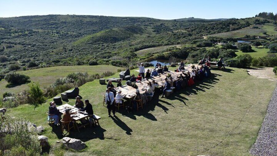 Lunch at the top of the hill