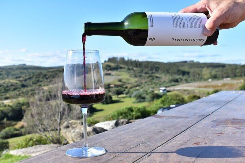 Wine tasting