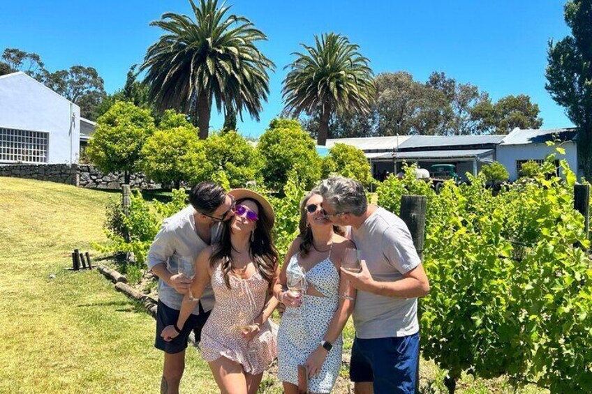 Wine Lovers - Punta Wine Experience
