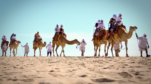Outback Camel Safari and Eco-Farm