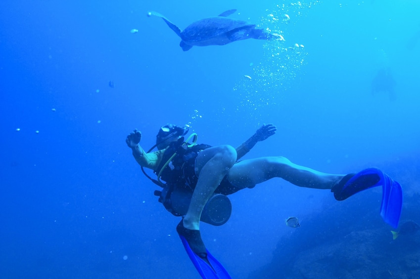 2-Tank Dive for Certified Divers