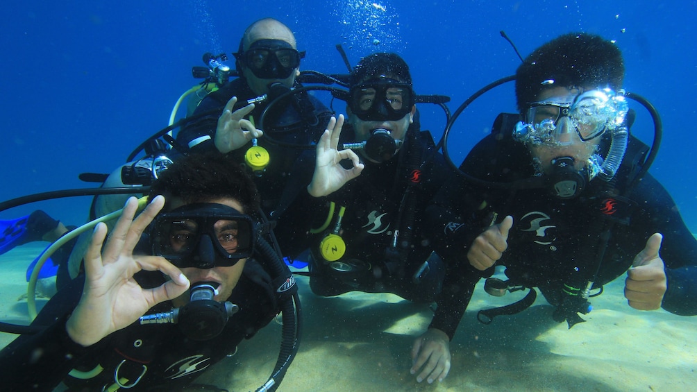 four scuba divers underway in Los Cabos