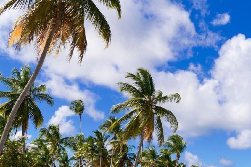 Explore the beaches of St Maarten