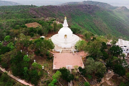 Udflugt tur af Rajgir & Nalanda fra Bodhgaya
