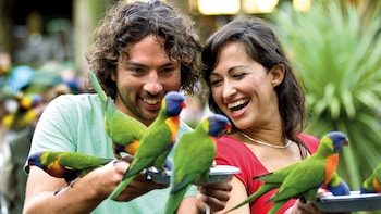 Currumbin Wildlife Sanctuary Tickets