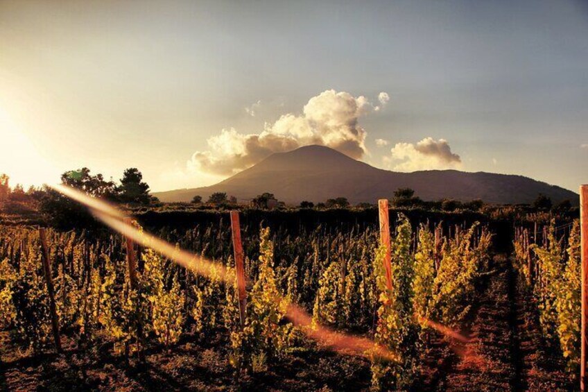 Pompeii with Wine Tasting and Lunch from Naples
