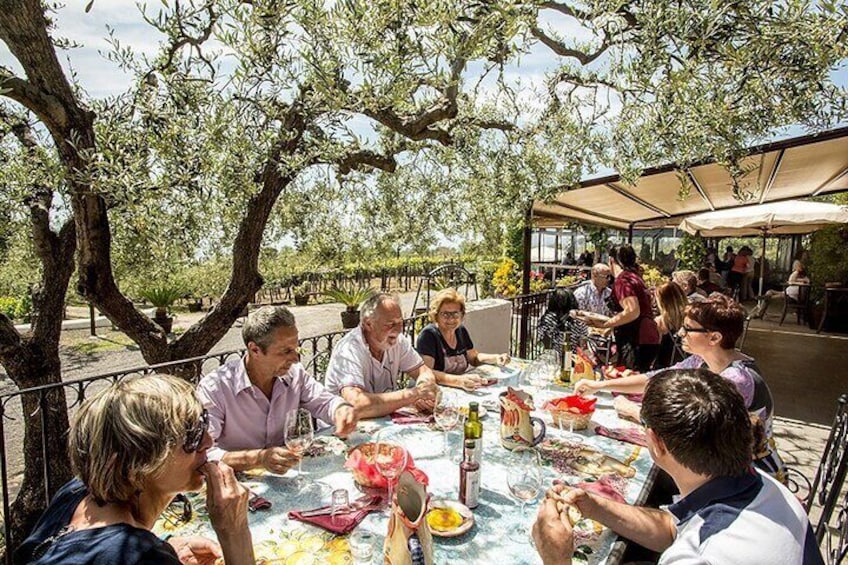 Divino Vesuvio - Wine Tasting on the slopes of Mount Vesuvius from Naples