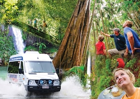 Small Group Mt Tamborine & Lamington National Park Tour