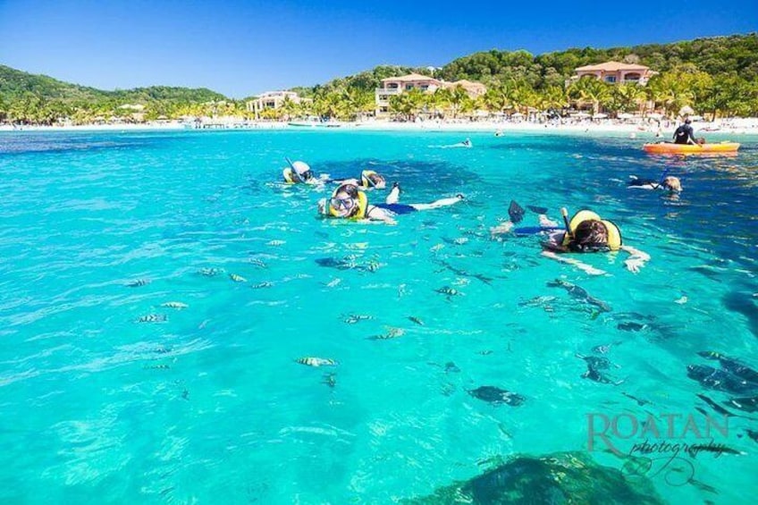 Snorkeling view