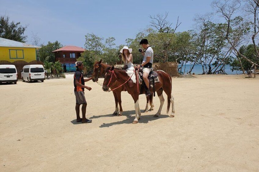 Roatan Excursion: Horseback Ride / Plus Sloth Park and Glass Bottom Boat