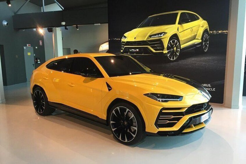 Lamborghini Full Day Experience: Test Drive, Lunch, Lamborghini Gadget included