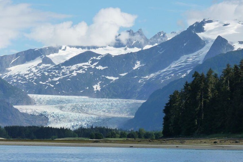 Juneau's Premier Whale Watching! - More time on the water!