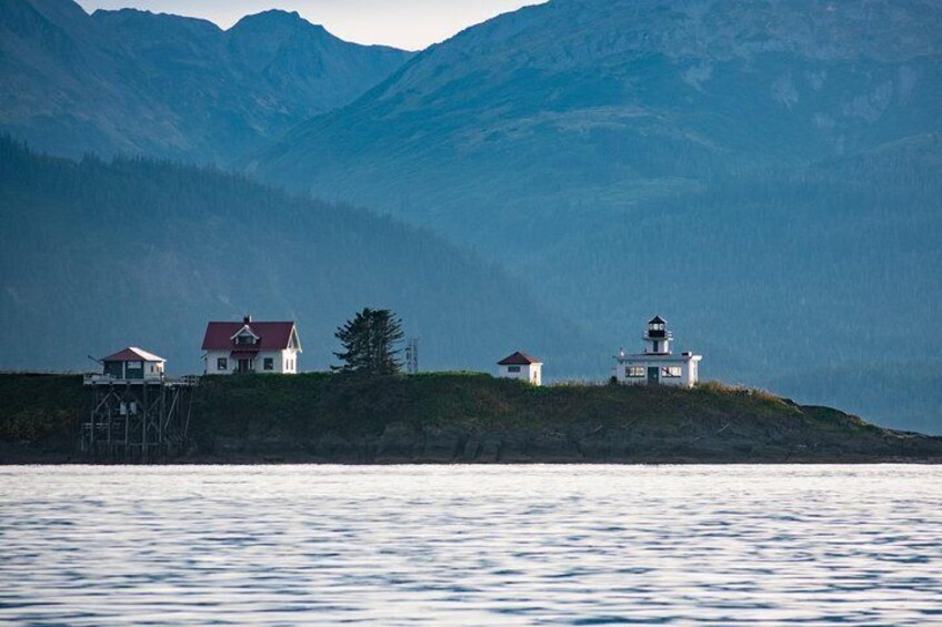 Juneau's Premier Whale Watching! - More time on the water!