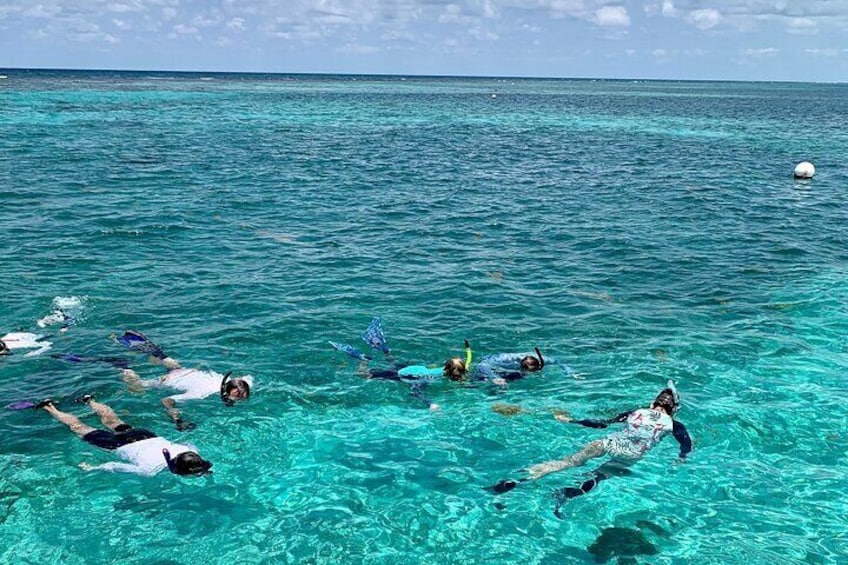 Hol Chan and Turtle Garden Snorkeling Tour