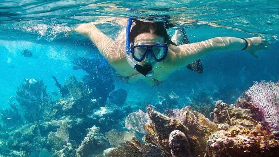 Cielo, Columbia and Palancar Reefs Snorkeling Tour