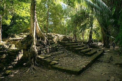 Escursione a terra della costa Maya: gita di un giorno a Chacchobén