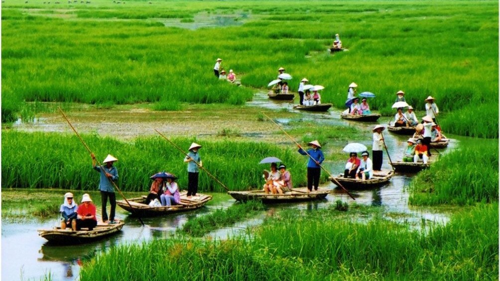 rowing boats in a single file in Vietnam
