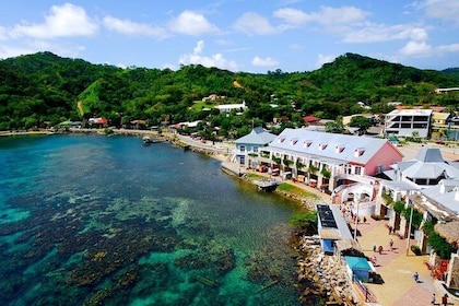 Shore Excursion: Roatan VIP Customizable Island Tour