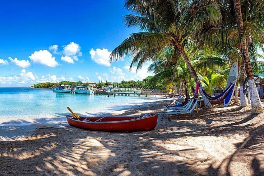 Shore Excursion: Roatan Zip Line & Snorkel Adventure with Lunch