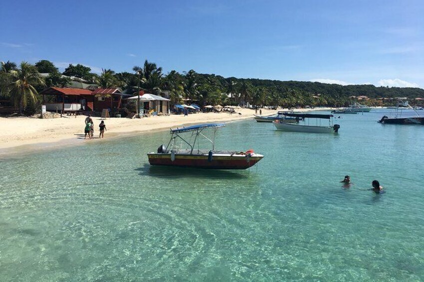 Shore Excursion: Roatan Zip Line & Snorkel Adventure with Lunch