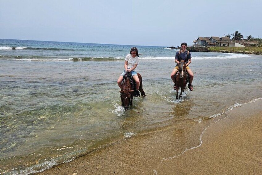 Roatan Half-Day ATV 4-wheeler with Sanctuary Park and Horseback 