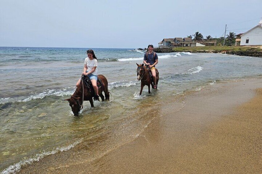 Roatan Half-Day ATV 4-wheeler with Sanctuary Park and Horseback 