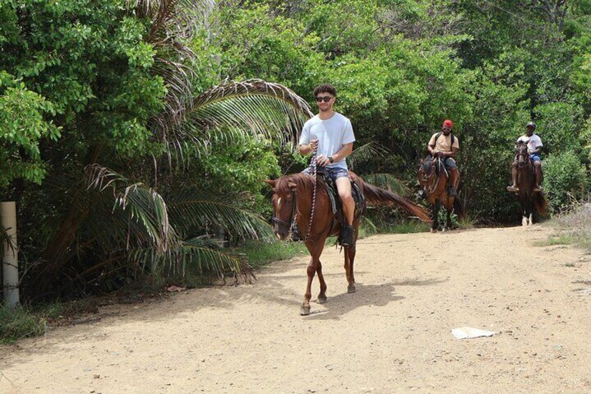 Roatan Half-Day ATV 4-wheeler with Sanctuary Park and Horseback 