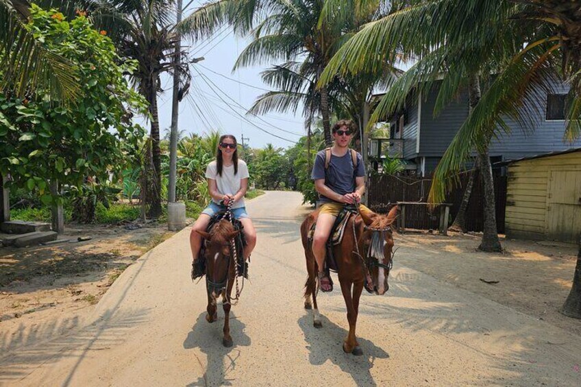 Roatan Private Half-Day Horseback Ride with Glass bottom boat 