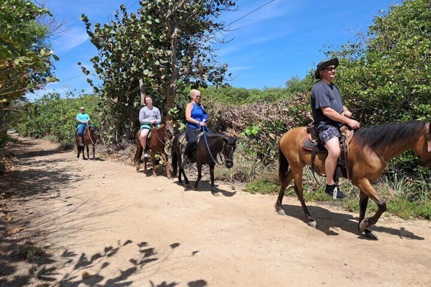 Roatan Private Half-Day Horseback Ride with Glass bottom boat 