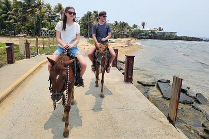 Shore Excursion: Half-Day Horseback Ride with Glass bottom boat