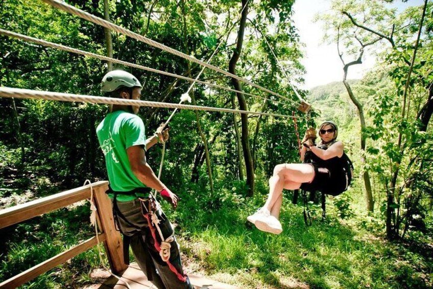 Roatan Zip & Dip Adventure with Monkey and Sloth