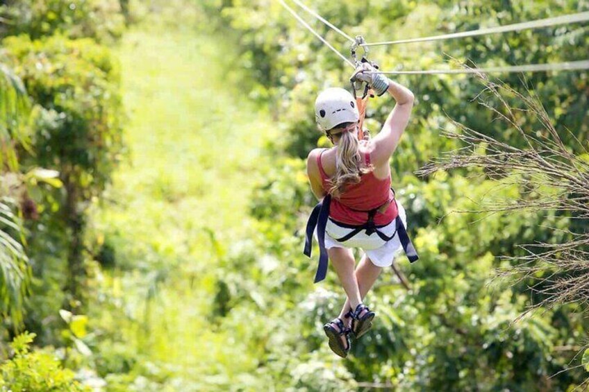 Roatan Zip & Dip Adventure with Monkey and Sloth