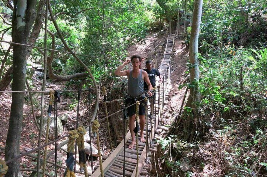 Roatan Zip & Dip Adventure with Monkey and Sloth