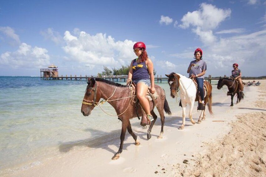 Shore Excursion: Design your Own Day Excursion While in Roatan