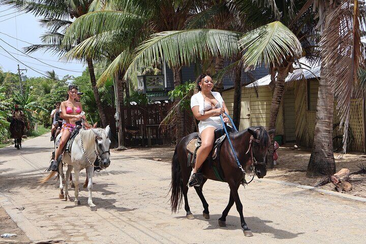 Shore Excursion: Roatan Horseback Ride and West Bay Beach Break